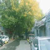 比旅游景点更值得去的餐厅！就藏在二环的胡同里！
