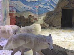 -成都浩海立方海洋公园