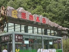 -栾川竹海野生动物园