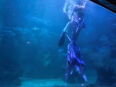 -左海海底世界