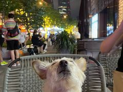 -BAKER&SPICE(BFC外滩金融中心店)