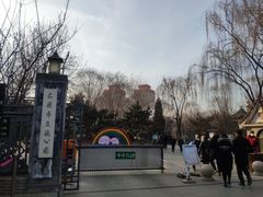 -文瀛公园