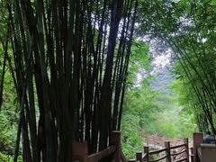 -南海湾森林生态园