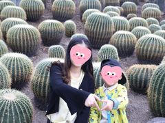 -南山植物园