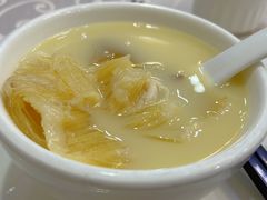 鸡煲特大鲍翅-凤城礼记鱼翅海鲜酒家(新马路总店)