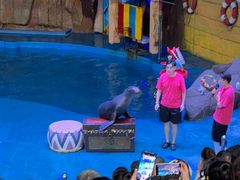 -烟台海昌鲸鲨海洋公园