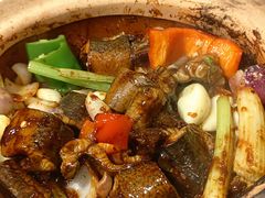 -天宝食坊·啫啫煲大排档(西华路店)