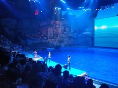 -芜湖新华联大白鲸海洋公园