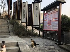 -长春观
