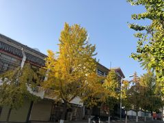 -天朝元辅-徐州民俗博物馆