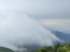 -梧桐山风景名胜区