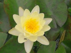 -白塘生态植物园