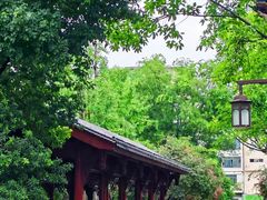 -北湖公园