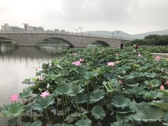 -江南大学(蠡湖校区)