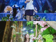 -南昌海洋公园