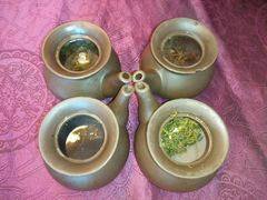 -喜鹊茶点.啫煲(车陂店)
