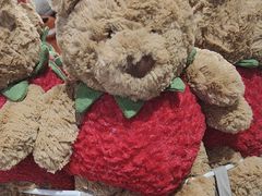 -大悦城(沈阳中街店)