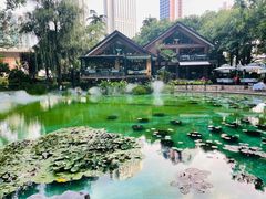 -静安公园(静安寺街道)