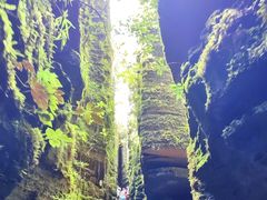 -梭布垭石林景区