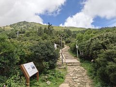 -大姆山草场