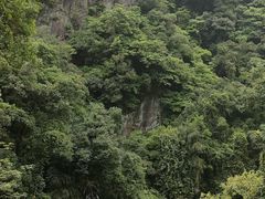 -马峦山郊野公园