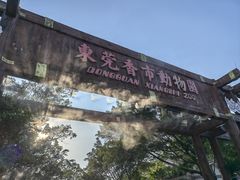 -东莞香市动物园