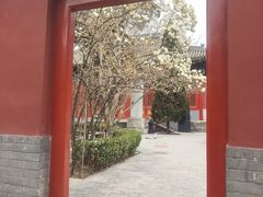 -北京艺术博物馆(万寿寺)