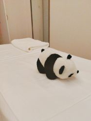 -美丽田园Beauty Farm