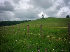 -塞罕坝国家级自然保护区