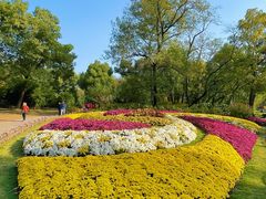 -上海共青森林公园