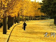 -金逸影城(中关村店)