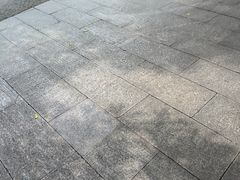 -晓港公园