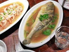 -前海沿·青岛菜(大拇指广场石老人店)