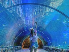 -华夏文旅海洋公园