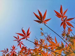 -大宁灵石公园西门票处