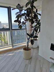 -HEYAN荷妍专业脱毛连锁机构