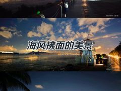 -深圳湾公园(南山区)
