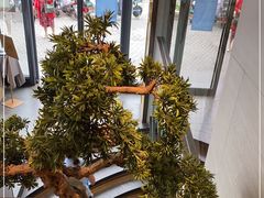 -花园茶楼(兴城西路店)