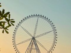 -祥源·阜阳生态乐园