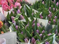 -三圣花乡旅游区