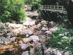 -牛背梁国家森林公园