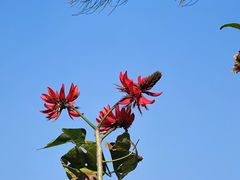 -闽粤南澳总镇府