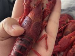 -徐嘉赫龙虾馆