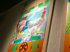 -大头椰·椰子鸡火锅(南宁万象城店)