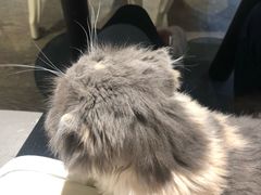 -小时光咖啡馆(开森度假森林店)