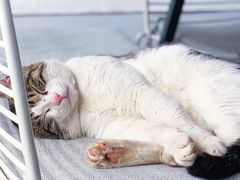 -UNI UNI(环亚凯瑟琳店)