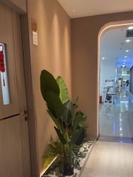 -丽都整形美容医院·全国连锁旗舰店