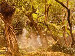 -Chom Cafe and Restaurant