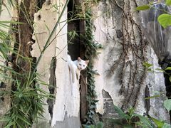 -锦溪古镇