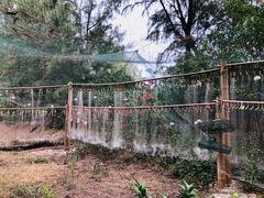 -北海金海湾红树林生态旅游区